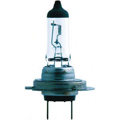 lampa-nakalivanija-osnovnogo-sveta