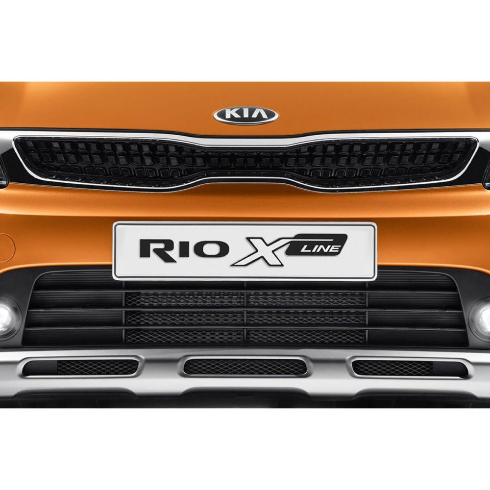 reshetka-radiatora-dlja-kia-rio-hjetchbek-x-line-2017-2019